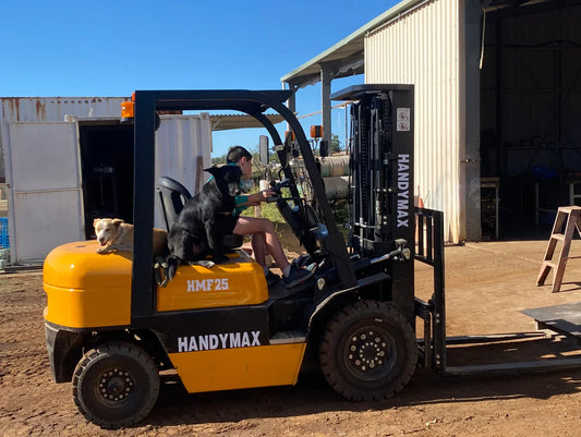 Handymax Diesel Forklift HMF25: The Ultimate Choice for Outdoor Tasks